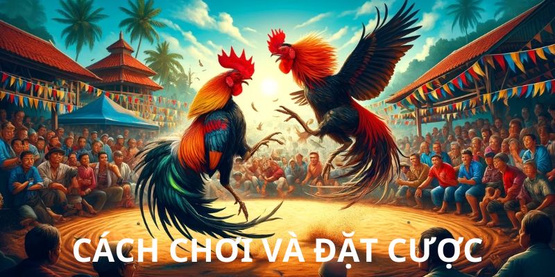 Khách hàng cần đọc kỹ để tăng cơ hội chiến thắng đá gà 23win