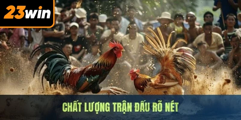Chọi gà 67 mang đến hình ảnh, âm thanh siêu hấp dẫn 