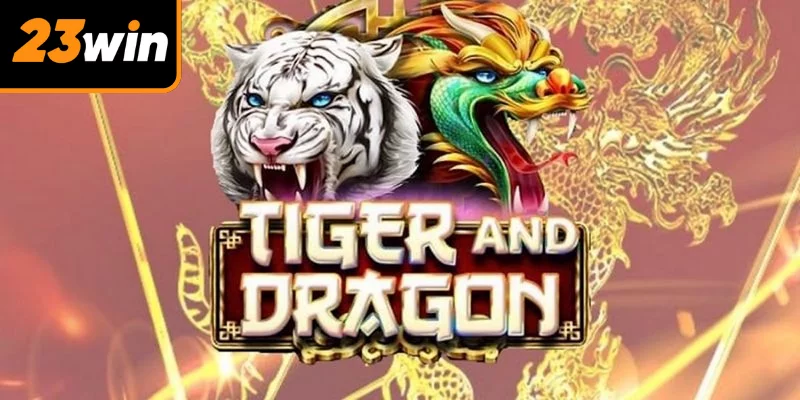 Tham gia rồng hổ đơn giản với 3 bước